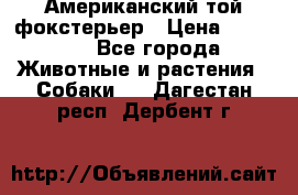 Американский той фокстерьер › Цена ­ 25 000 - Все города Животные и растения » Собаки   . Дагестан респ.,Дербент г.